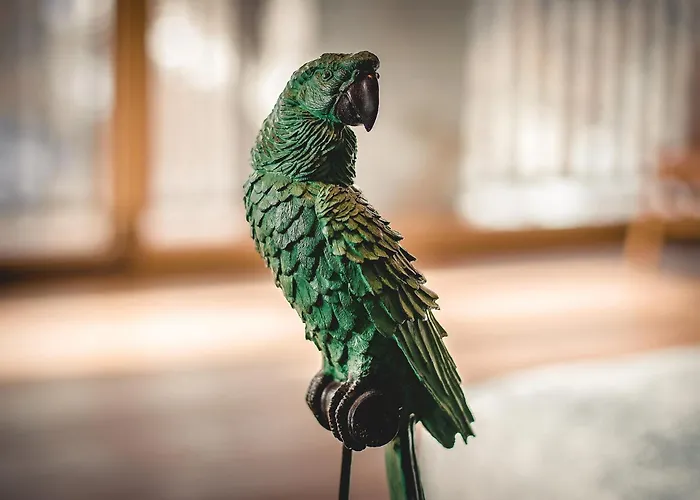 Snostorm Horská chata *